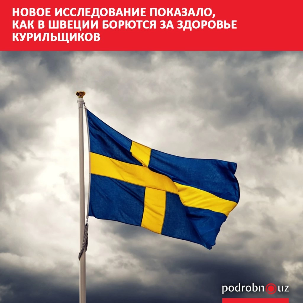 Новое исследование показало, как в Швеции борются за здоровье курильщиков