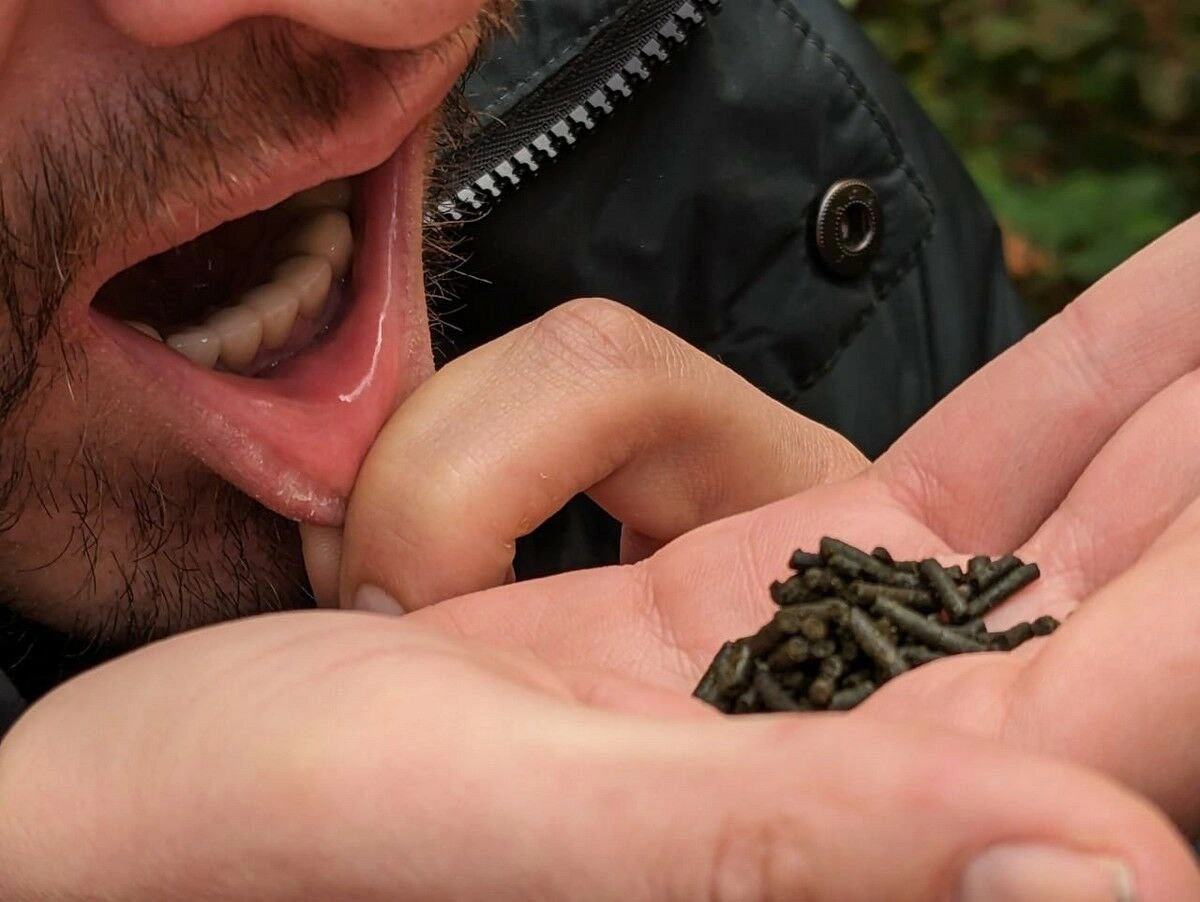 ⚡️❗️Секин таъсир қилувчи бомба: Ўзбекистонда ишлаб чиқарилган носвой таркибида олимлар 10 турдаги заҳарли моддаларни аниқлади